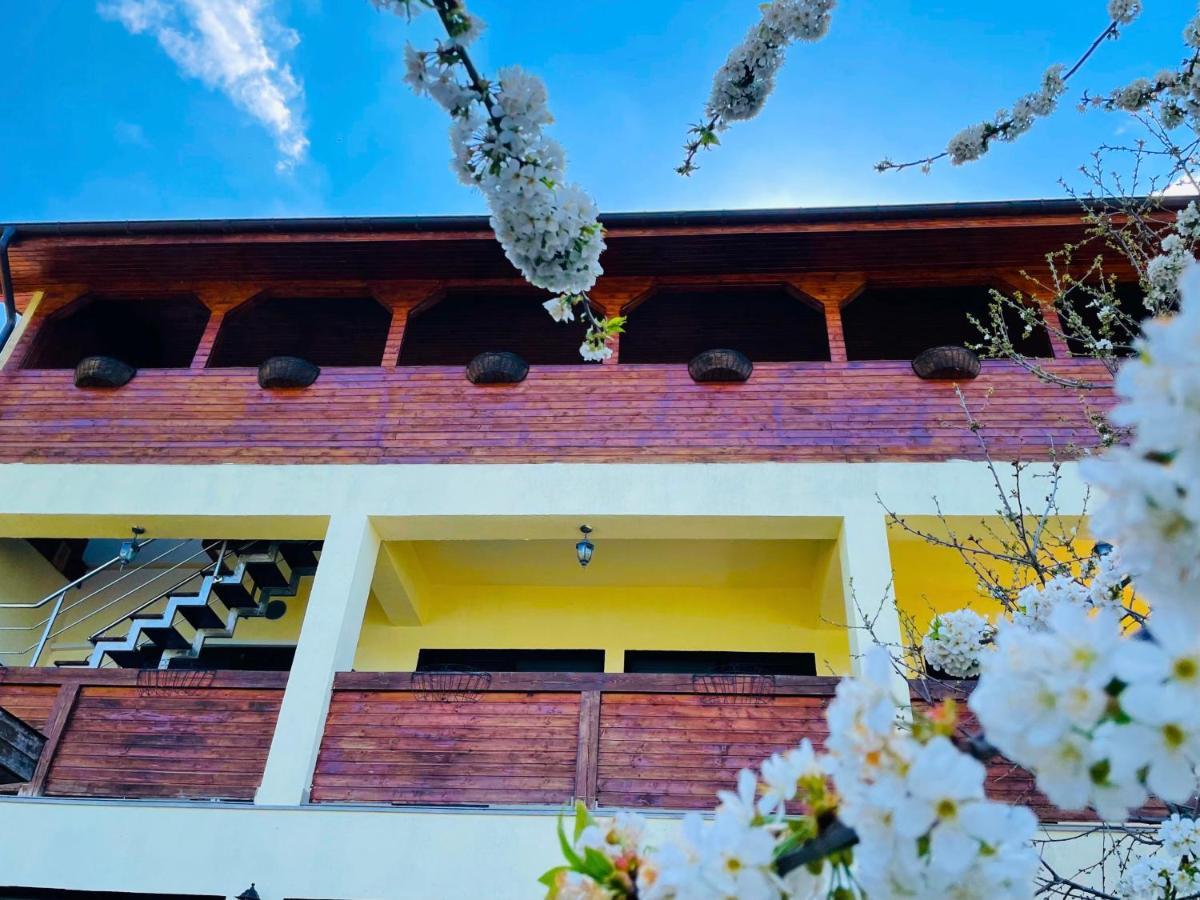 Casa Camelia Hotel Dubova Buitenkant foto